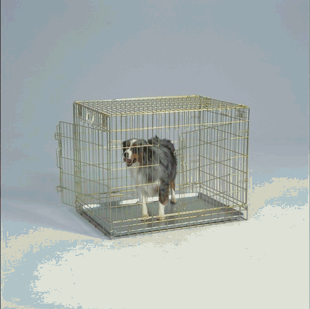 General Cage 205-2D 2 Door Gold Wire Dog Crate with Front and Side Door