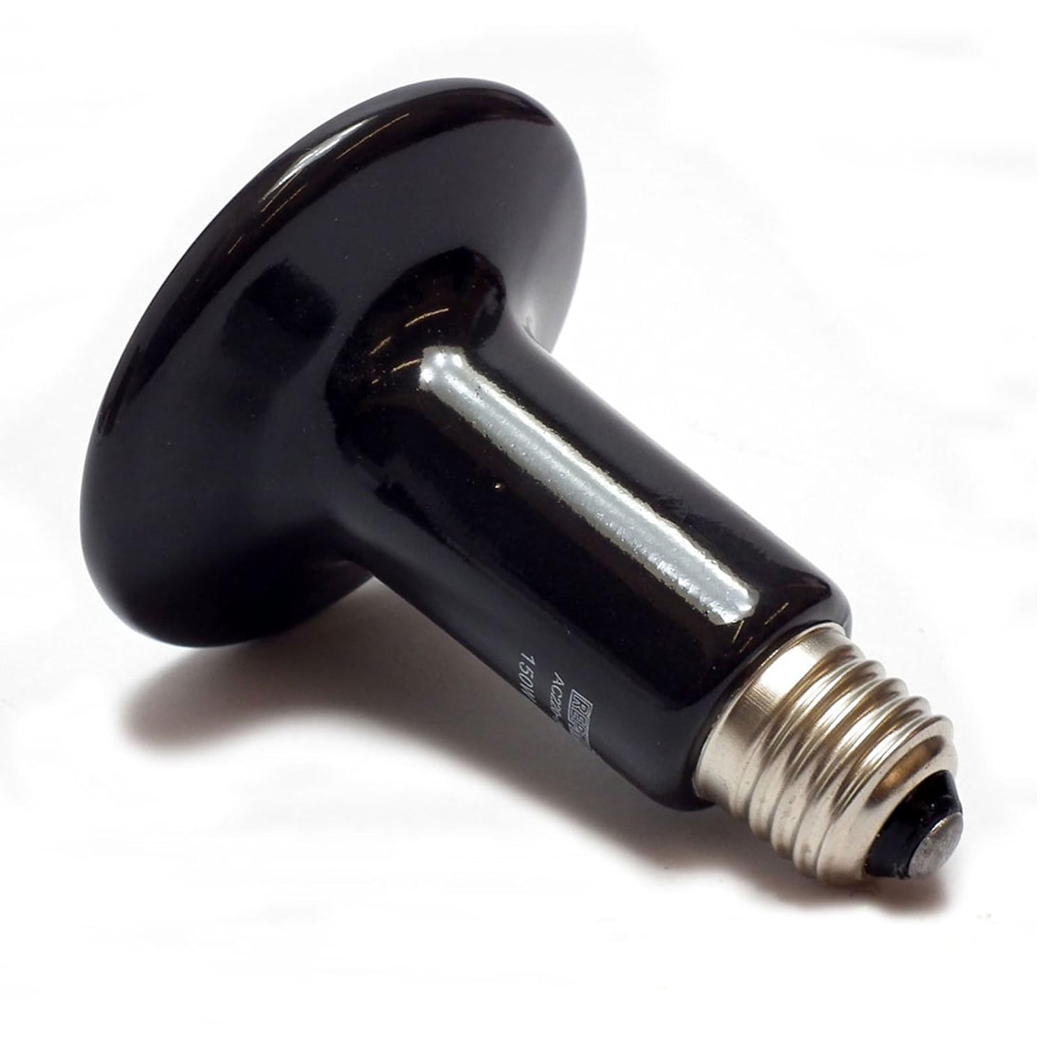 A Guide to Vivarium Heating Vivarium World