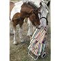 Shopping Trolley - Stripes 