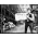 Thumbnail image of Bob Dylan