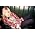 Thumbnail image of Ladyhawke