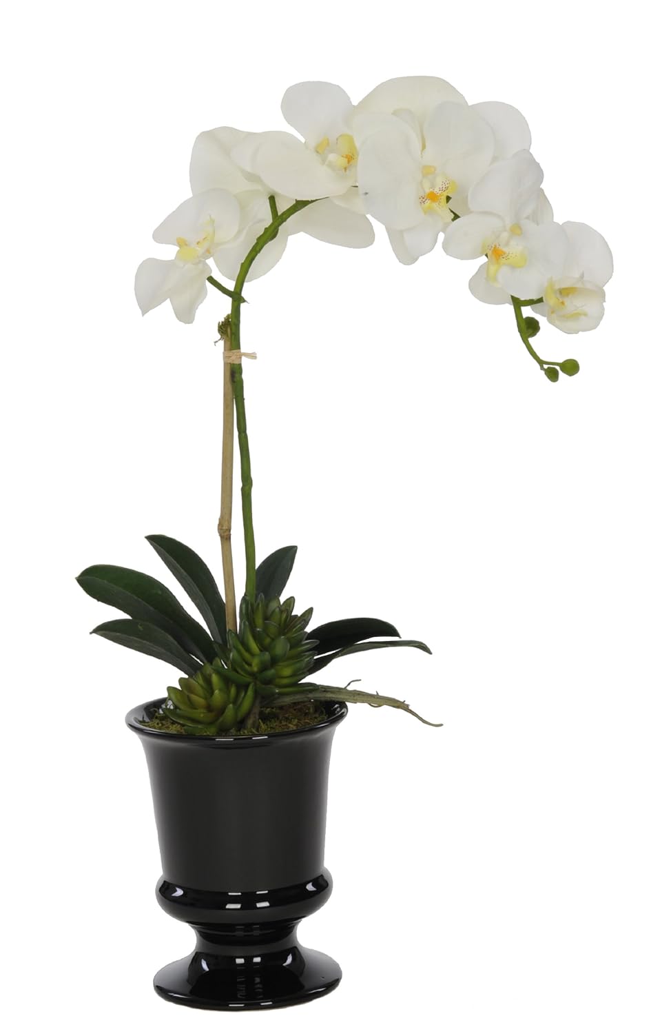 House of Silk Flowers Artificial White Phalaenopsis Orchid in Black Ceramic Urn