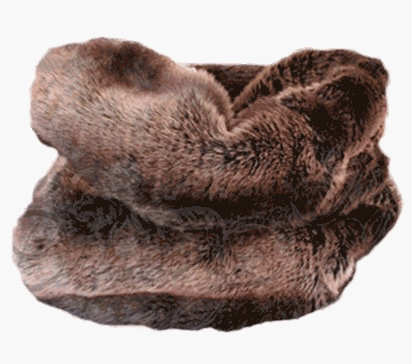 Favorite Pet Products TD55CLA Tiger Dreamz Trundle 3-Way Pet Bed – Chocolate Chinchilla