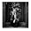 Vignette de Ted Leo & the Pharmacists