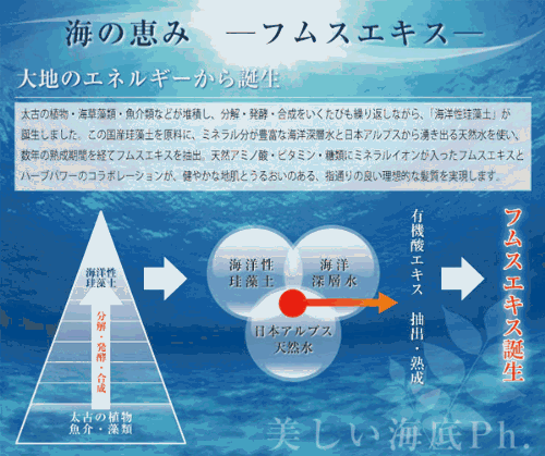 コンディショナー) 设置2黄腐倪<em>头发</em>护理(洗发