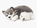 Perfect Petzzz Alaskan Husky Puppy Bundle