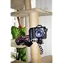 Joby GorillaPod GP3-01EN SLR-Zoom Klemmstativ (deu&hellip von Joby