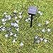 Ecandy Flower Solar Powered Christmas Lights Multi-color 50 LED Decorative Blossom Fairy String Light for Garden, Lawn, Patio, Xmas Tree, Holiday, Party, Home, Indoor, Outdoor Decorations,White