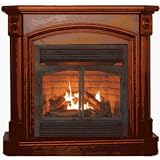 World GFP4312 Gas Fireplace 40,000 BTU Liquid Propane by WORLD MKTG OF AMERICA/IMPORT