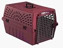 Petmate Deluxe Pet Porter Jr. Large Kennel, Peacock