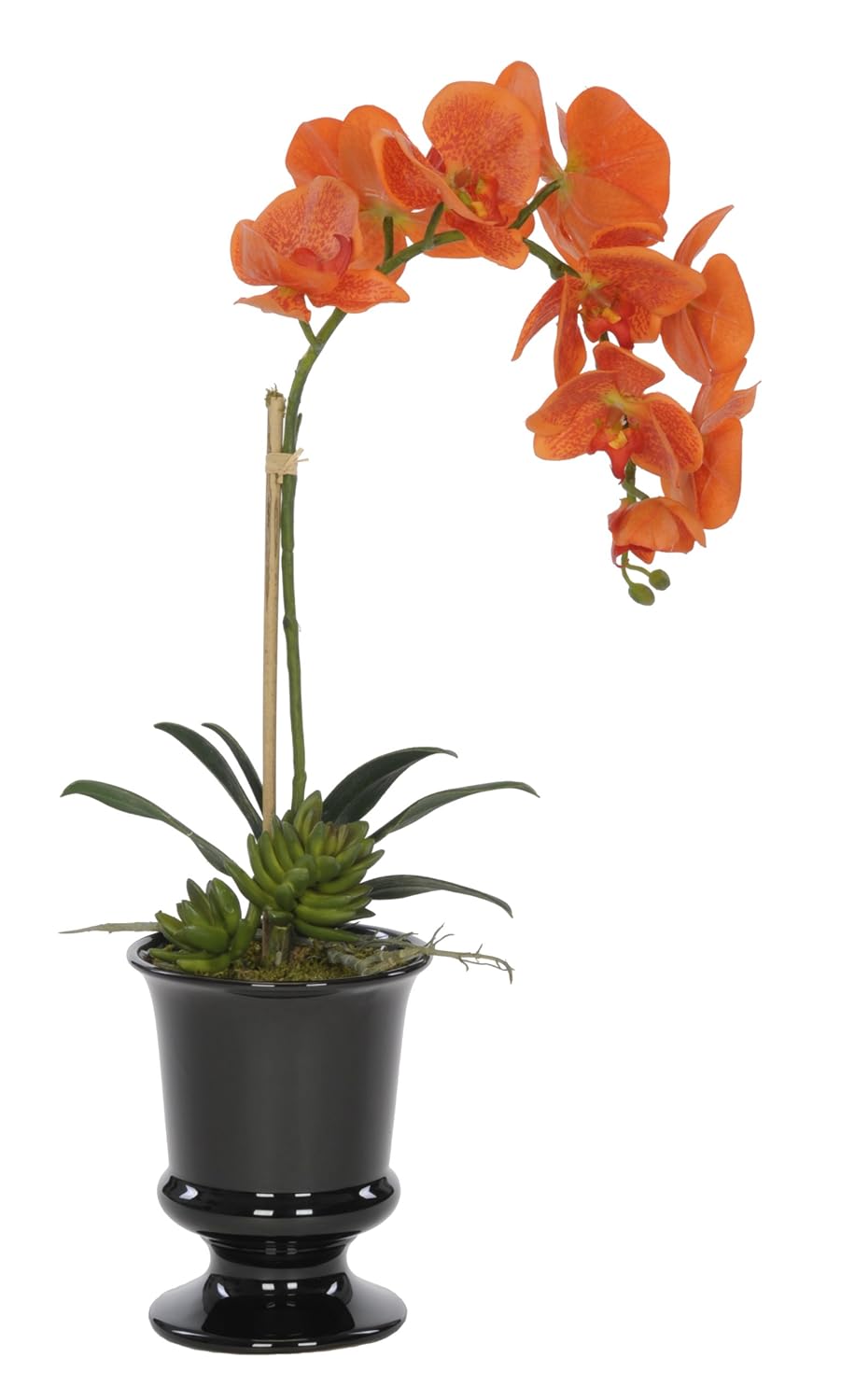 House of Silk Flowers Artificial Orange Phalaenopsis Orchid in Black Ceramic Urn
