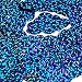 Sapphire Blue Sequin Cloud 1.5