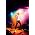 Thumbnail image of Matisyahu