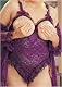The Top Stretch Lace and 15 Denier Open Bust Teddy in Plus Sizes 1x/2x 3x/4x 5x/6x Black Plum Red Selling Out Fast