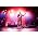 Vignette de The Shins