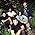 Thumbnail image of Deftones