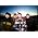Thumbnail image of Kottonmouth Kings