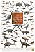 Safari 295221 Dinosaurs Of The Triassic And Jurassic Period Poster - Pack Of 3