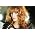 Vignette de Florence and the Machine
