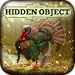 Hidden Object - Turkey Trot