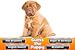 Guess The Puppy Breed 2 - Trivia Game