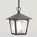 York Black Exterior Chain Pendant Light