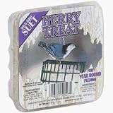 C. & S. Prod. CS1250527 Berry Treat Suet (Pack of 12)