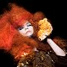 Image of Björk