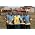 Thumbnail image of Ladysmith Black Mambazo