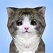 Cat Simulator