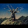 Badly Drawn Boy - Too Many Miracles