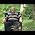 Video von Anton G. Leitner