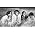 Thumbnail image of The Kinks