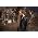 Thumbnail image of Phosphorescent