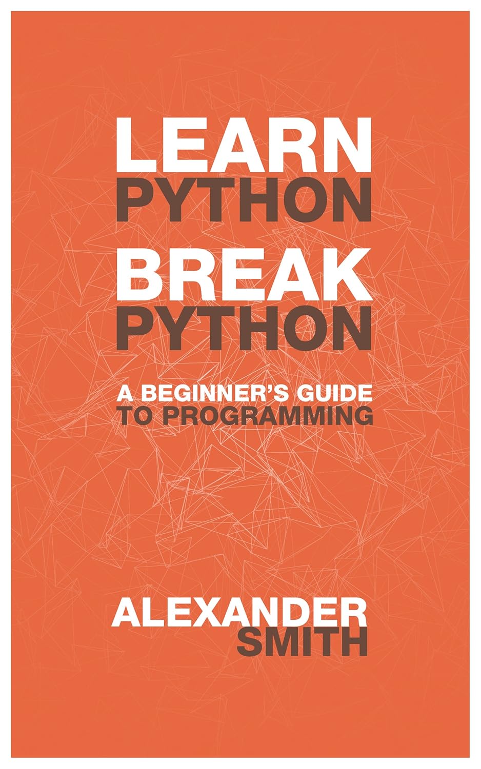 Learn Python, Break Python A Beginner's Guide to Programming [Kindle