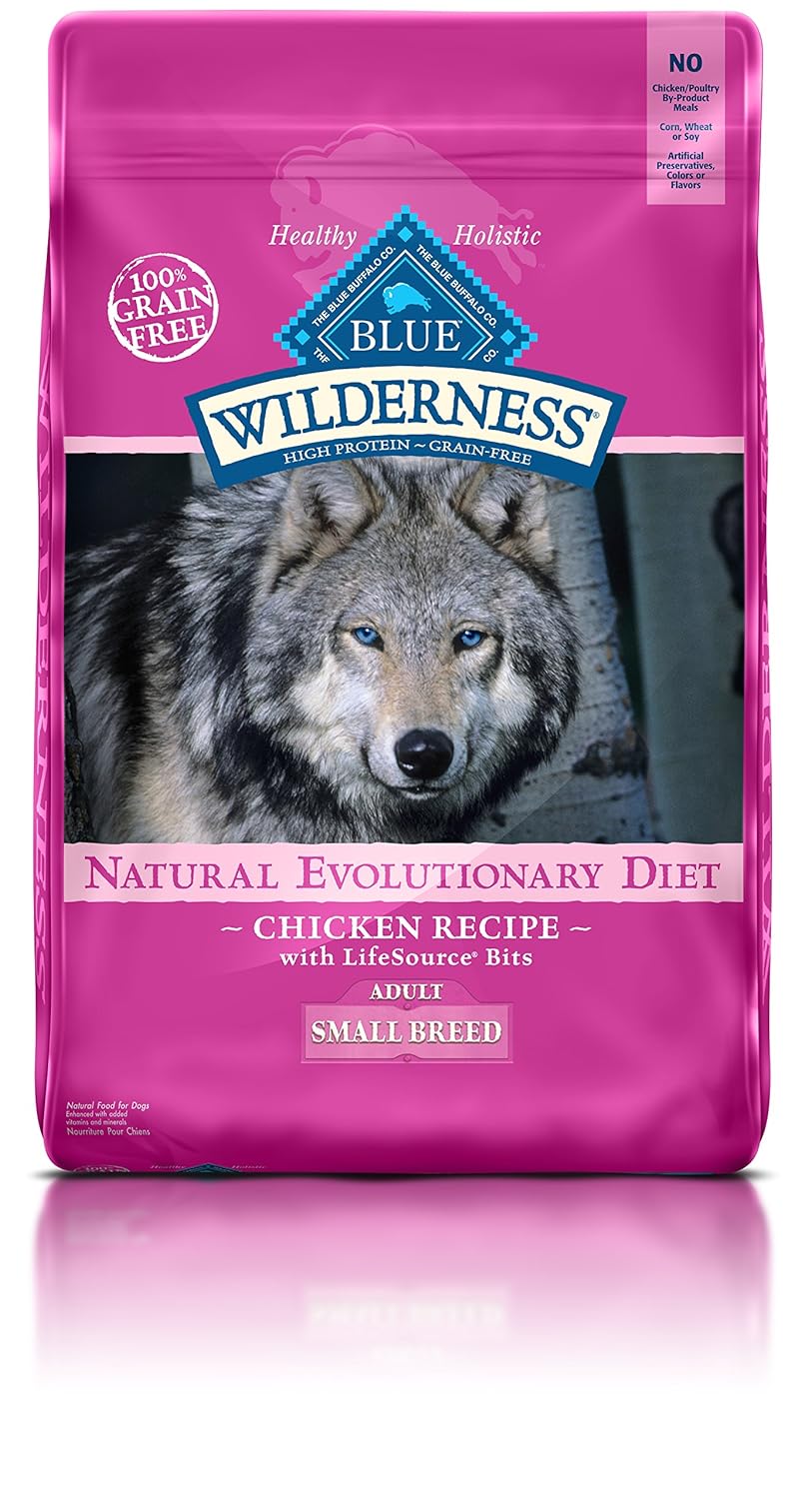 The Best Dog Food for Shelties Sweet Dog, Big Diet HerePup!