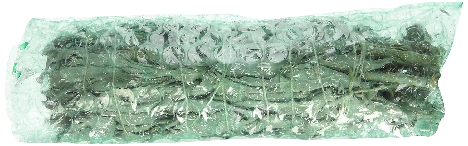 Amazon.com: White Sage (Ceremonial) 6