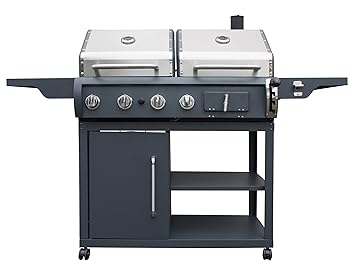 barbecue gaz ou charbon