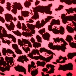 Amazon.com: Hot Pink Leopard Print Live Wallpaper ...