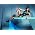 Thumbnail image of Cheryl Cole