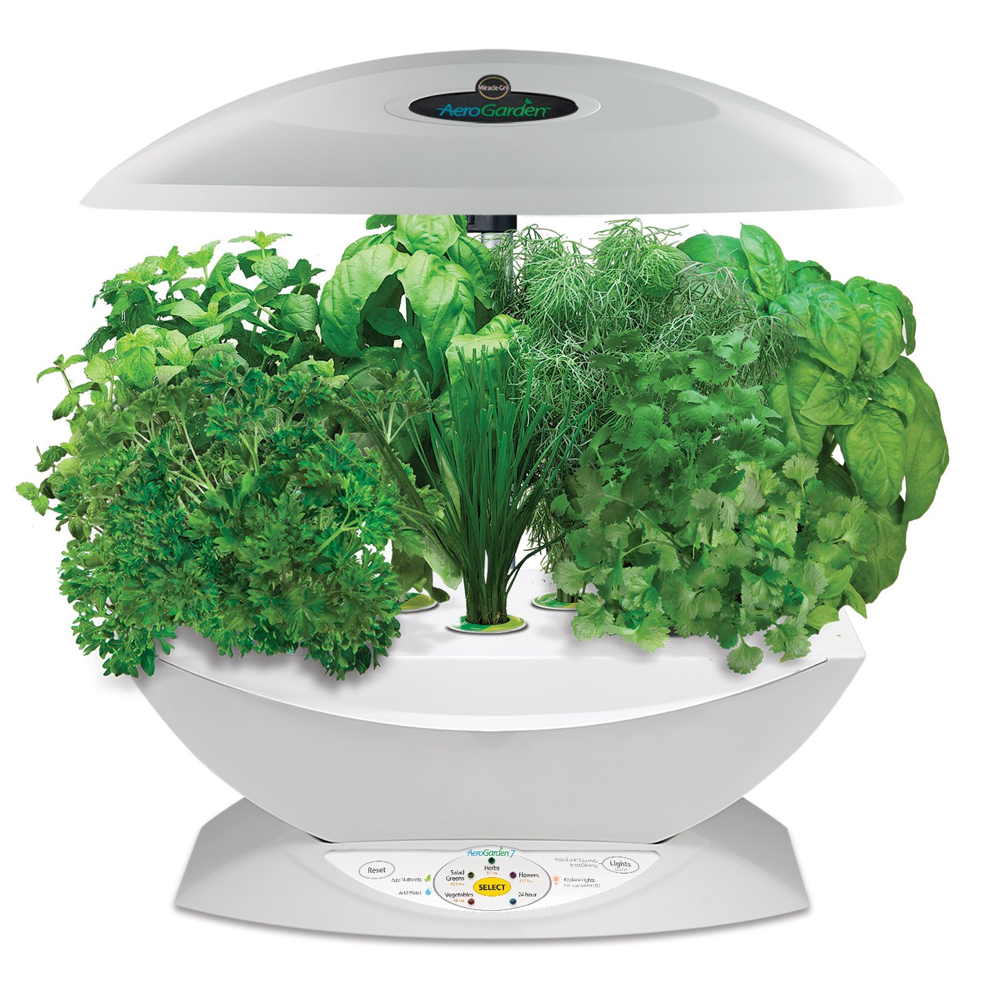 Miracle Gro Aerogarden 7 Indoor Garden with Gourmet Herb Seed Kit White