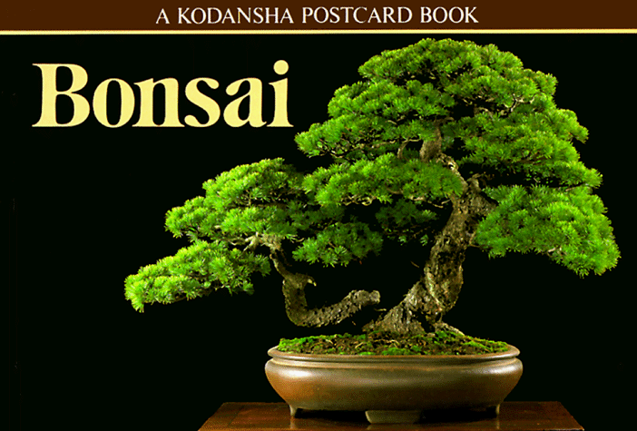 Bonsai: A Kodansha Postcard Book (Kodansha postcard books)