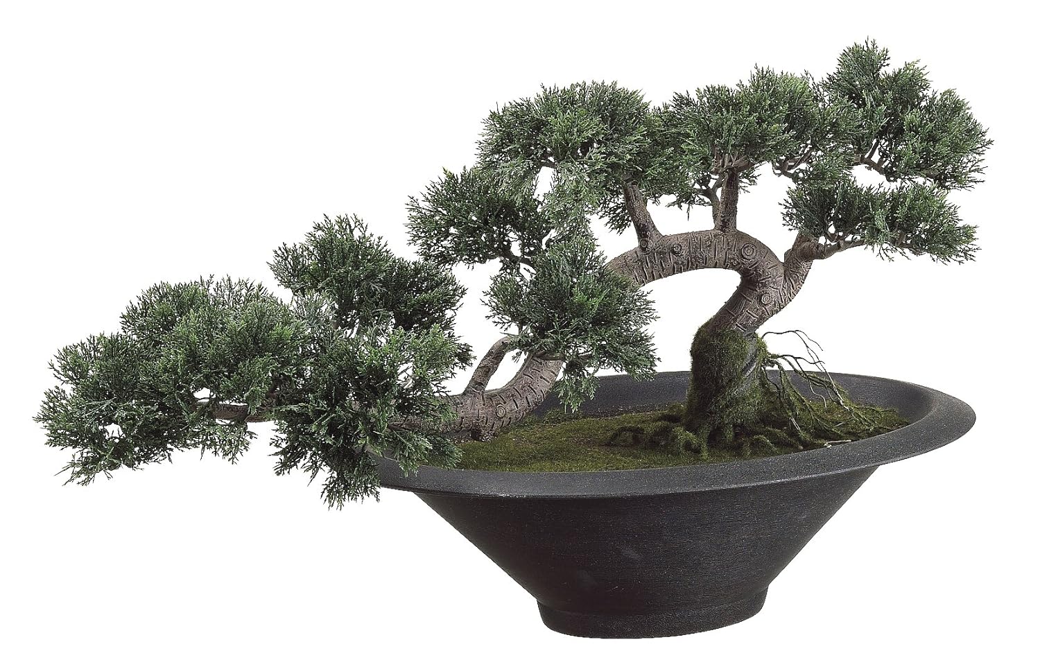 Natural and Artificial Cedar Bonsai Tree for Decoration