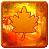 Autumn Leaves Live Wallpaper