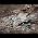 Video von Marah Woolf
