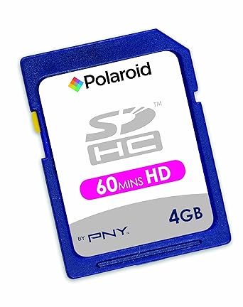 Polaroid SDHC 4 GB Flash Memory Card P-SDHC4G4-10PK/POL (Pack of 10, Black)
