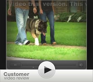 Click to watch this video