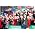Thumbnail image of Military Wives
