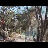Video of David Wilcox