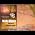 Video of Vicki Hinze